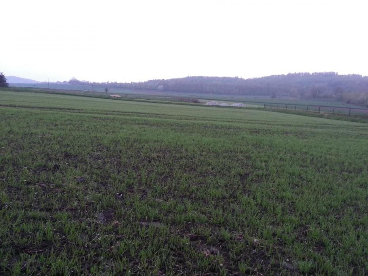 Działka budowlana Goczałków, ul. Boczna. Zdjęcie 2