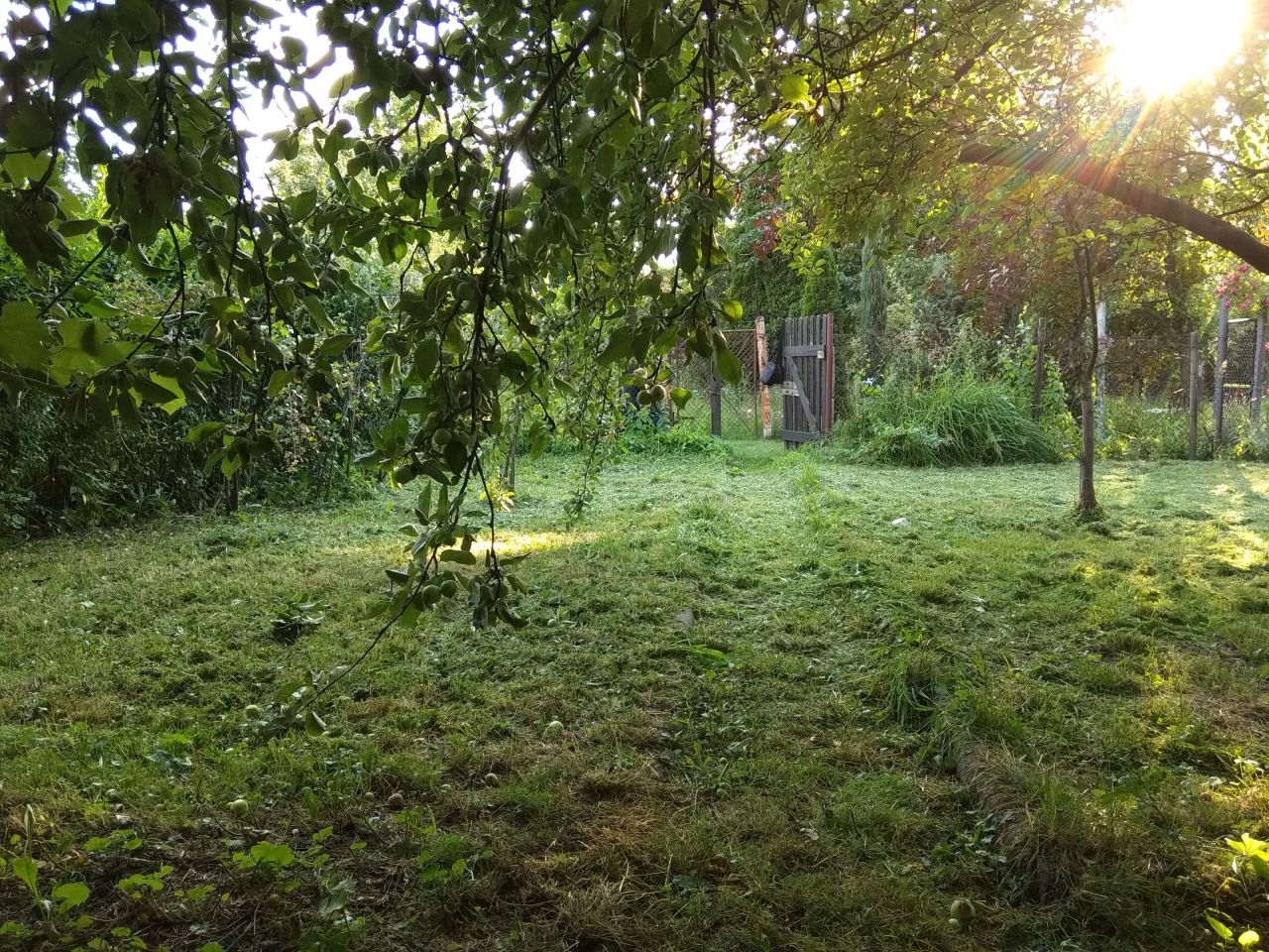 Działka rod Gliwice Śródmieście, ul. Feliksa Orlickiego. Zdjęcie 13