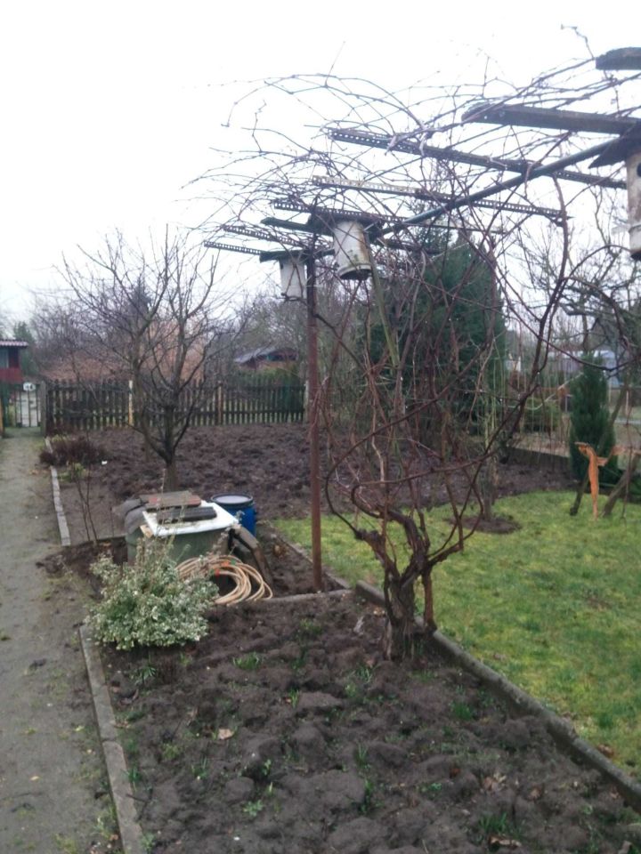 Działka rod Gorzów Wielkopolski, ul. Śląska. Zdjęcie 3