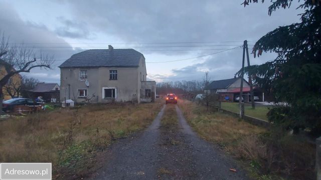 bliźniak Przejęsław. Zdjęcie 1