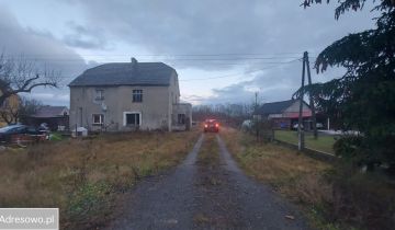 bliźniak Przejęsław
