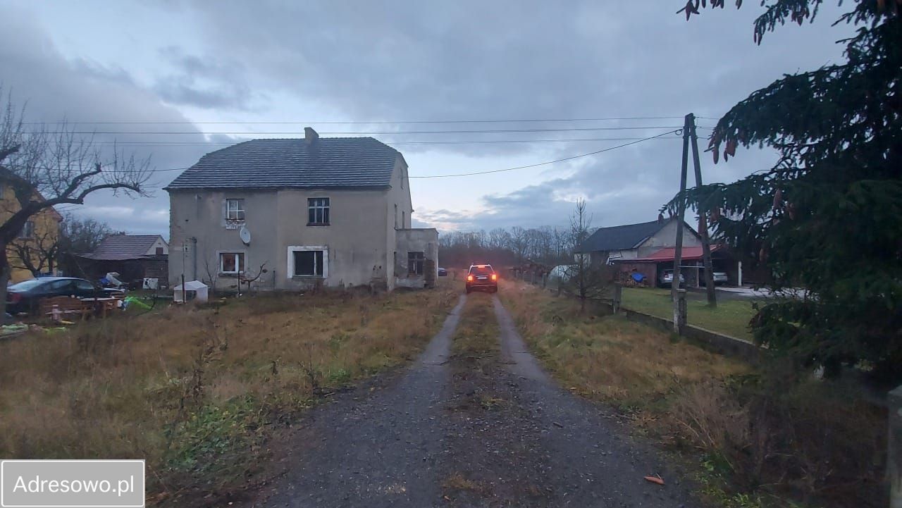 bliźniak Przejęsław