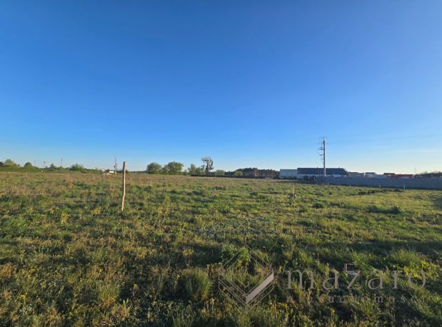 Działka rolna Nowe Dąbie. Zdjęcie 3