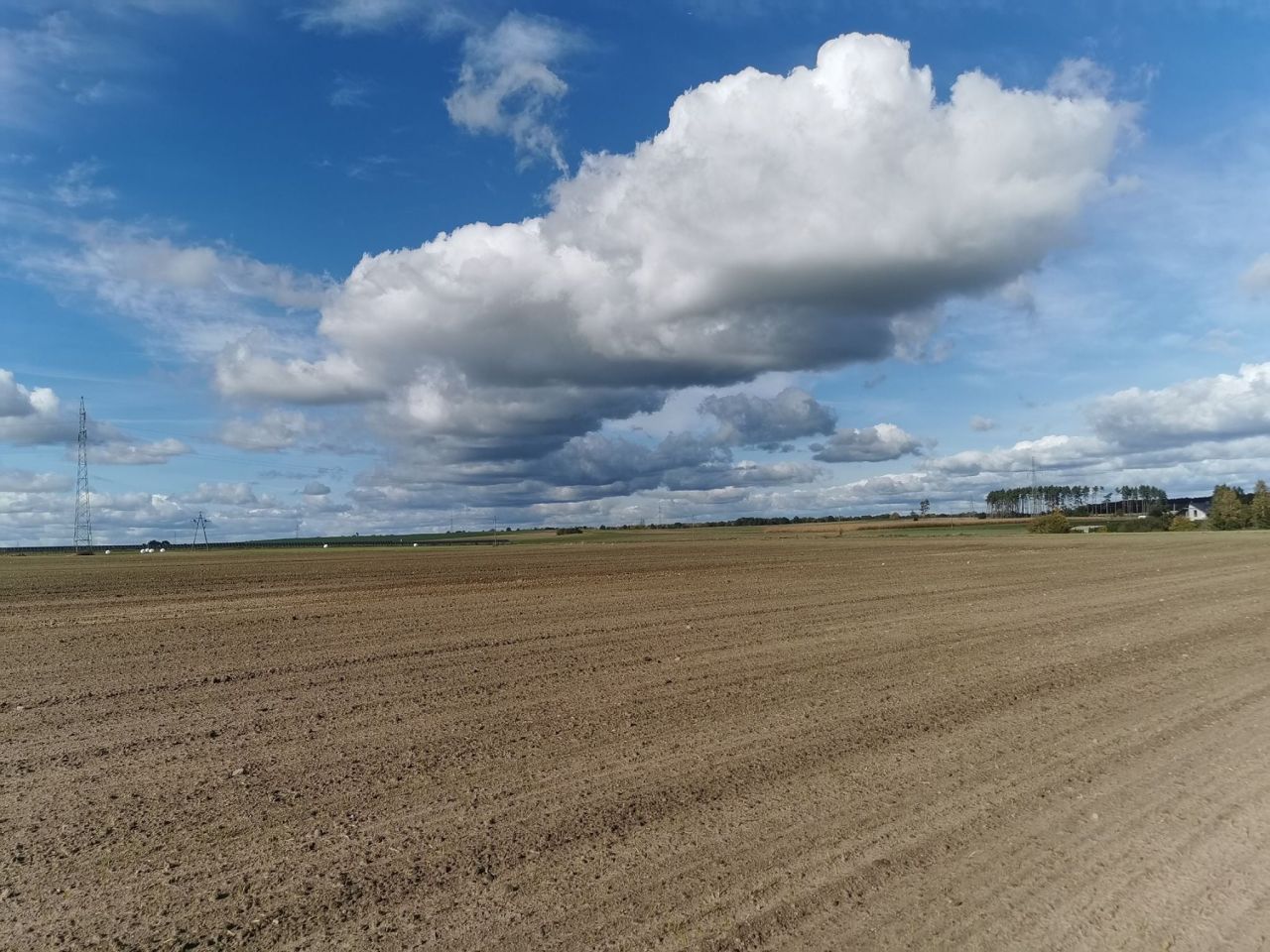 Działka inwestycyjna Blękwit. Zdjęcie 10