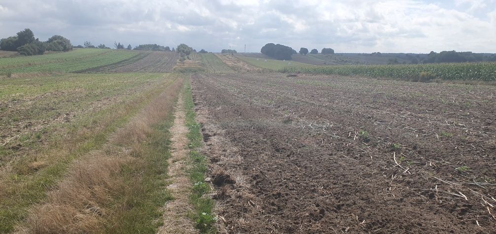 Działka budowlana Tarnowskie Góry, ul. Konduktorska. Zdjęcie 4