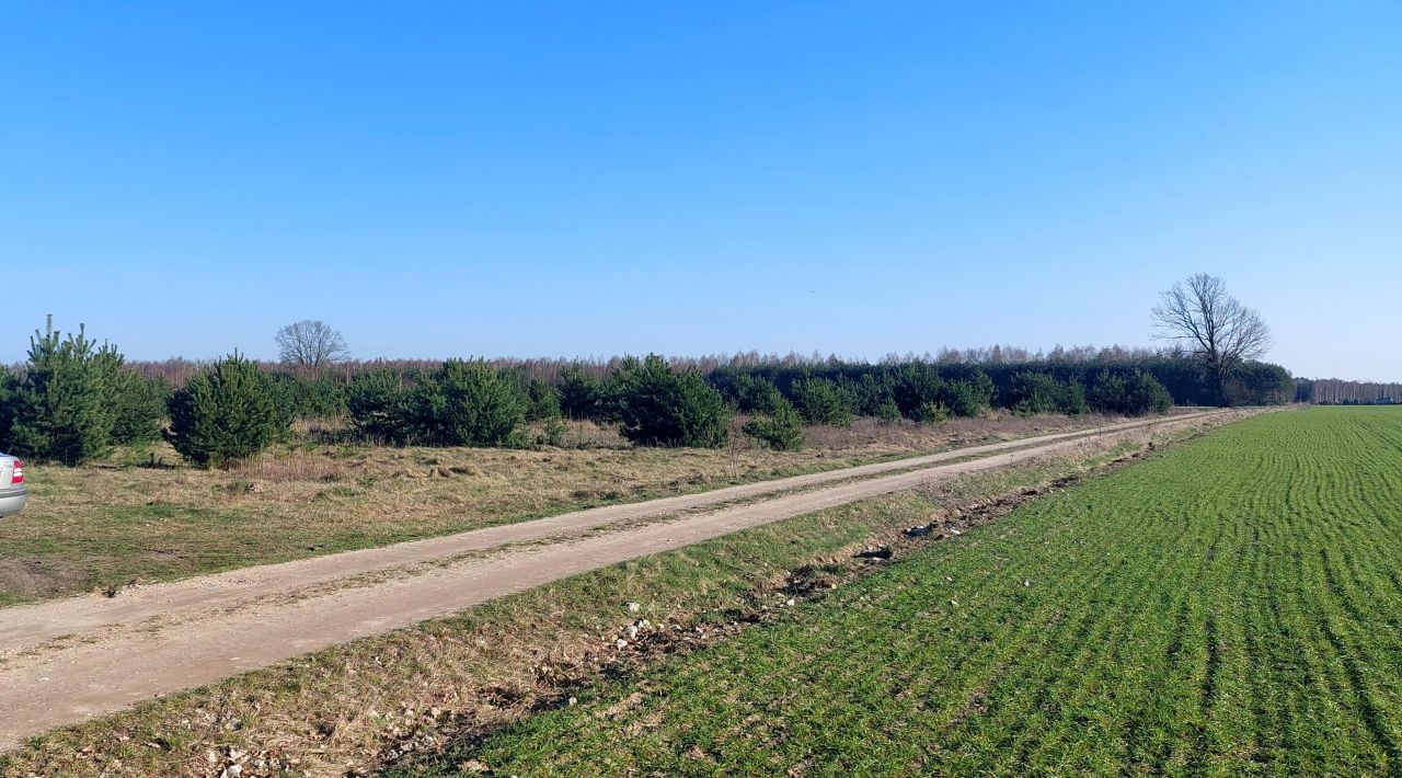 Działka budowlana Cegielnia Psucka. Zdjęcie 1