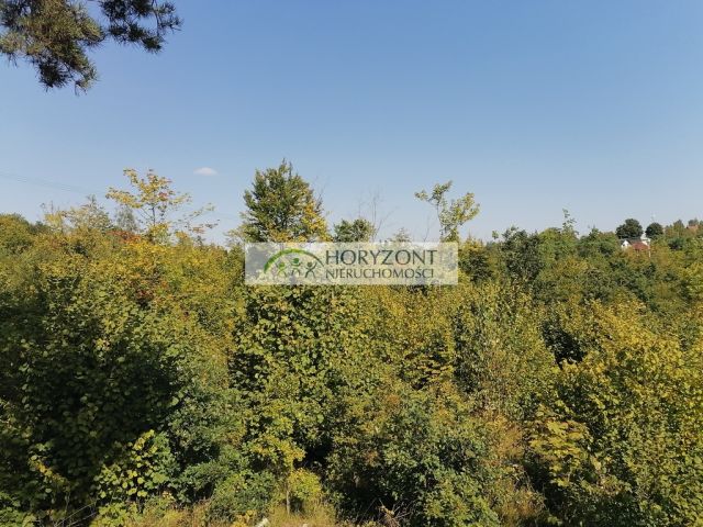 Działka Sulęczyno. Zdjęcie 3