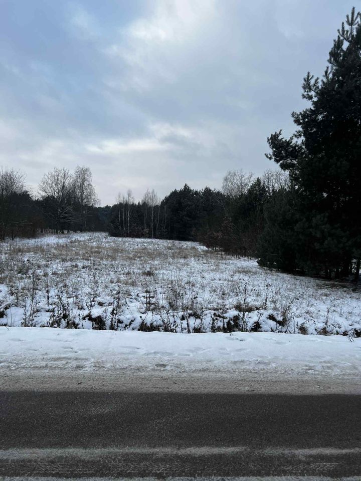 Działka budowlana Modrzew. Zdjęcie 4