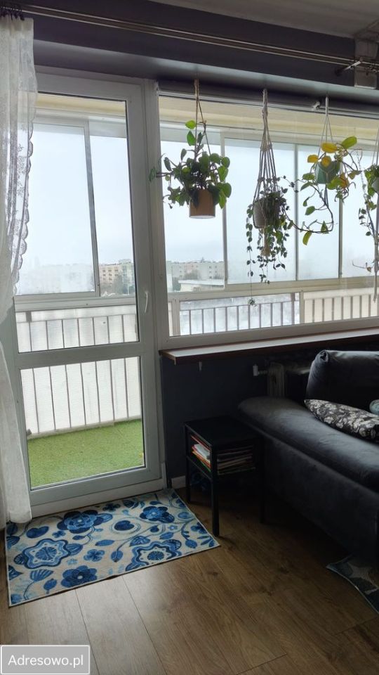 Mieszkanie 2-pokojowe Słupsk, ul. dr. med. Kazimierza Frąckowskiego. Zdjęcie 2