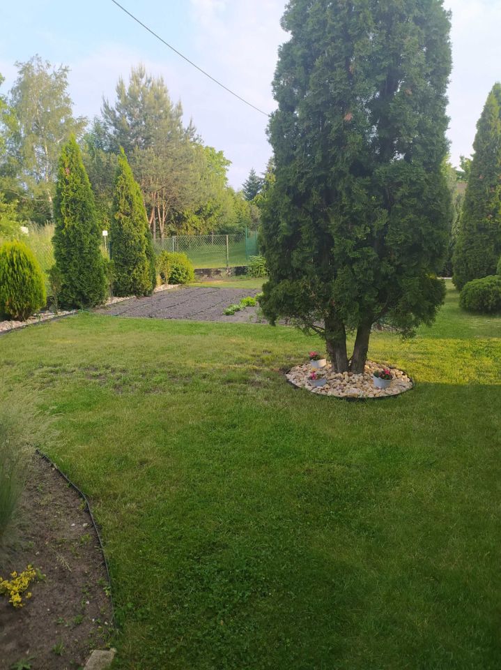 Działka rod Opole. Zdjęcie 6