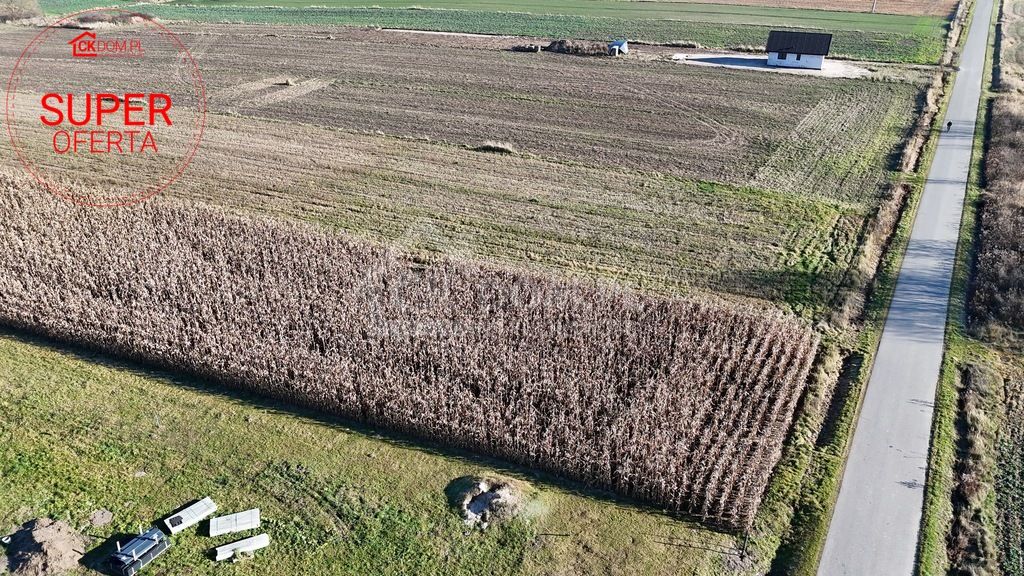 Działka budowlana Sielec. Zdjęcie 4