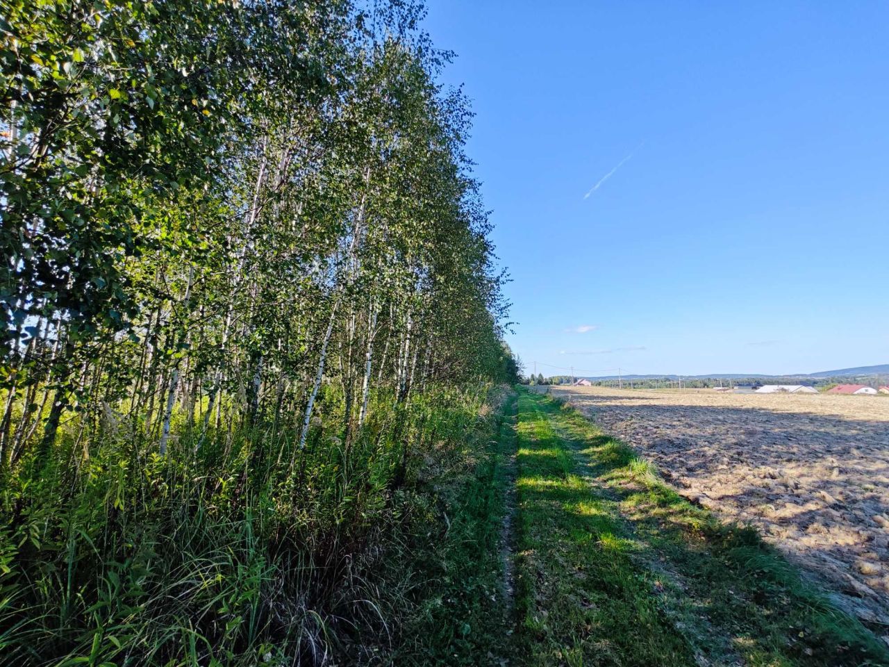 Działka rolno-budowlana Święcany. Zdjęcie 6