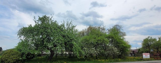 Działka budowlana Lgota Wielka, ul. Szkolna. Zdjęcie 1