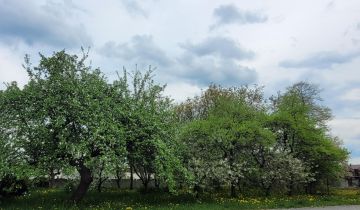 Działka budowlana Lgota Wielka, ul. Szkolna