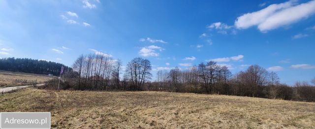 Działka budowlana Woryty. Zdjęcie 1