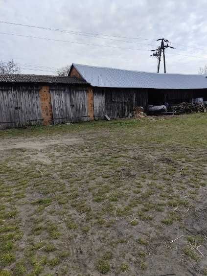 Działka rolno-budowlana Lgiń. Zdjęcie 6