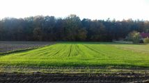 Działka rolno-budowlana Wagnerówka. Zdjęcie 1