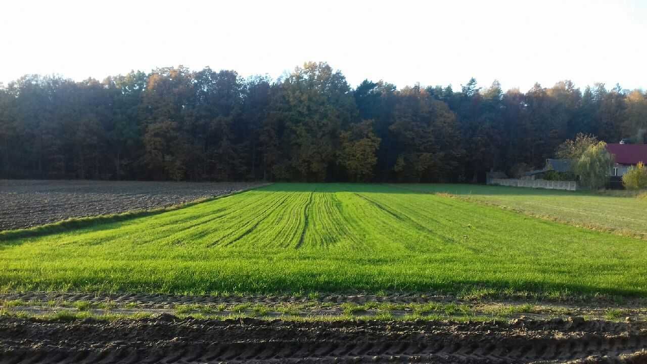 Działka rolno-budowlana Wagnerówka. Zdjęcie 2