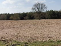 Działka rolna Łomy. Zdjęcie 2