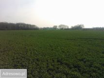 Działka inwestycyjna Pietrzykowice, ul. Fabryczna. Zdjęcie 4