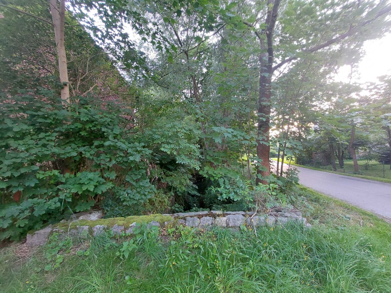 gospodarstwo Płoszczyna. Zdjęcie 4