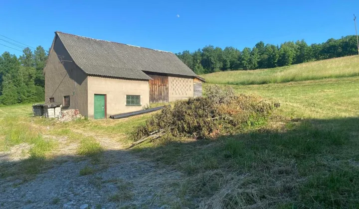 Działka budowlana Roztoka-Brzeziny Brzeziny