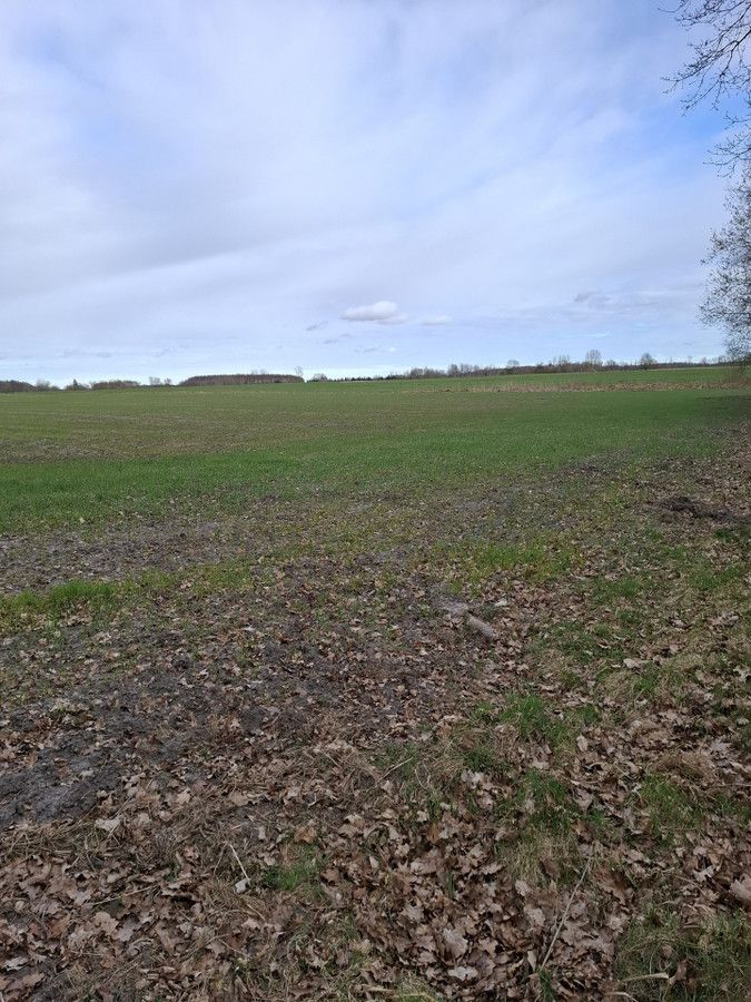 Działka inwestycyjna Charnowo. Zdjęcie 6