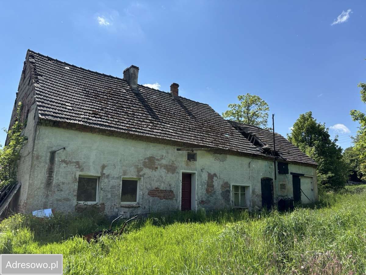 dom wolnostojący, 5 pokoi Biskupin