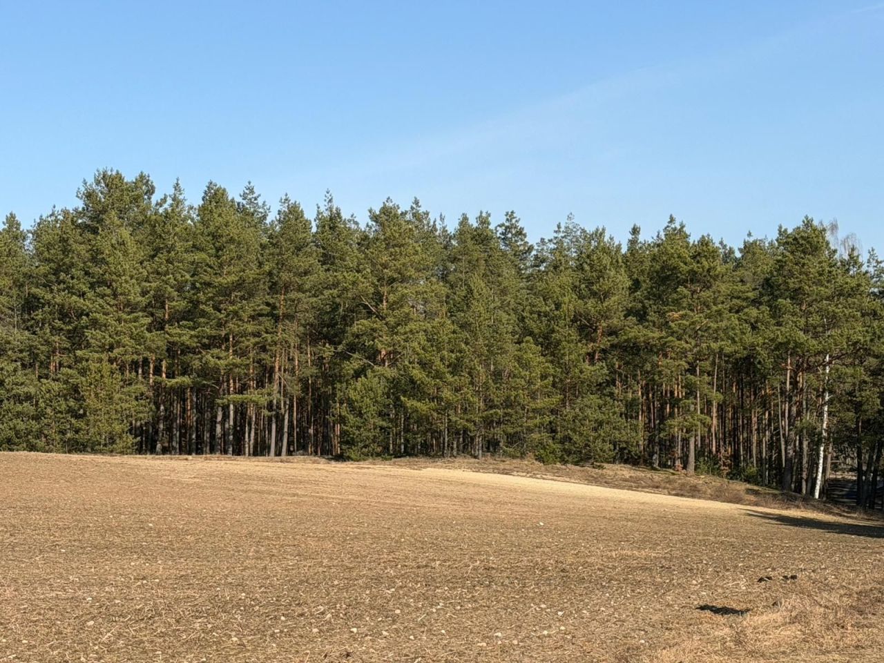 Działka rolna Czarna Woda Huta Kalna. Zdjęcie 7