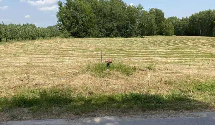 Działka budowlana Osiek Grabowiec, ul. Grabowiec Południowy