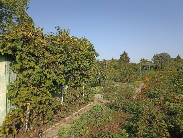 Działka rekreacyjna Wrocław Krzyki. Zdjęcie 1