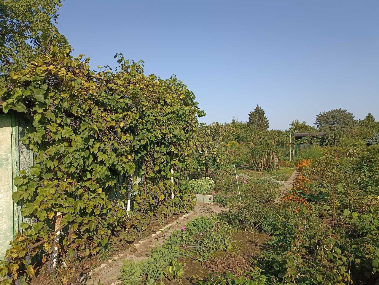 Działka rekreacyjna Wrocław Krzyki