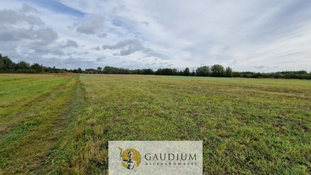 Działka budowlana Drewnica. Zdjęcie 11