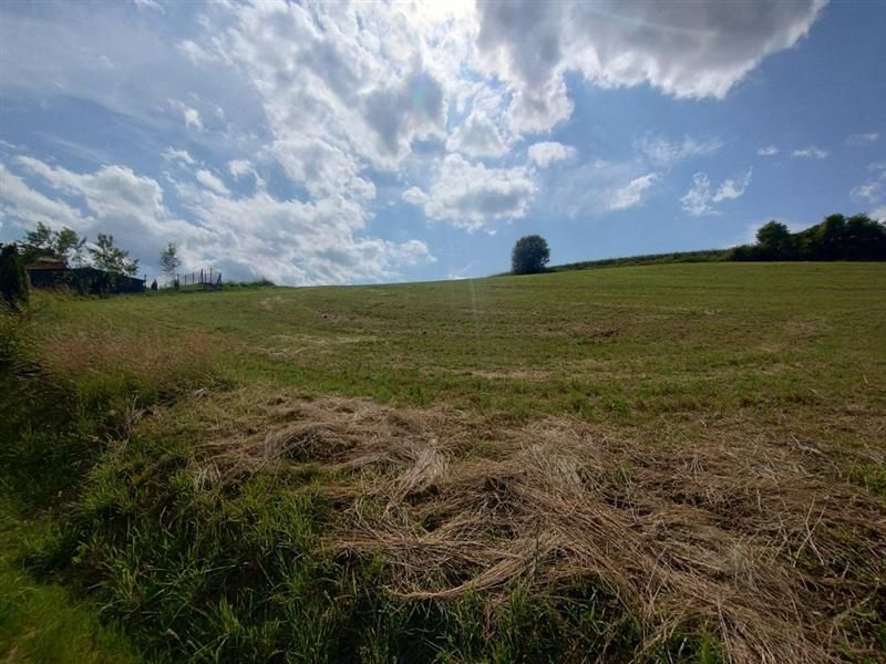 Działka rekreacyjna Binarowa Maślakowice, Maślakoice. Zdjęcie 6