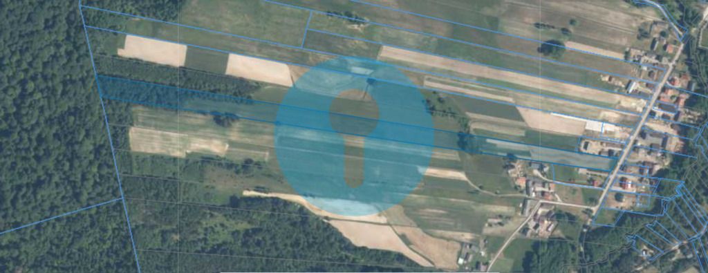 Działka rolno-budowlana Widełki. Zdjęcie 2