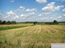 Działka rolna Suraż. Zdjęcie 1
