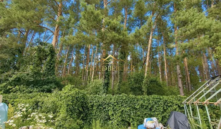 Działka rekreacyjna Sierosław