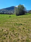 Działka budowlana Lipowa, ul. Jałowca. Zdjęcie 1