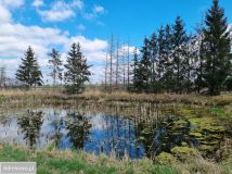 Działka siedliskowa Barkowo Barkówko. Zdjęcie 2