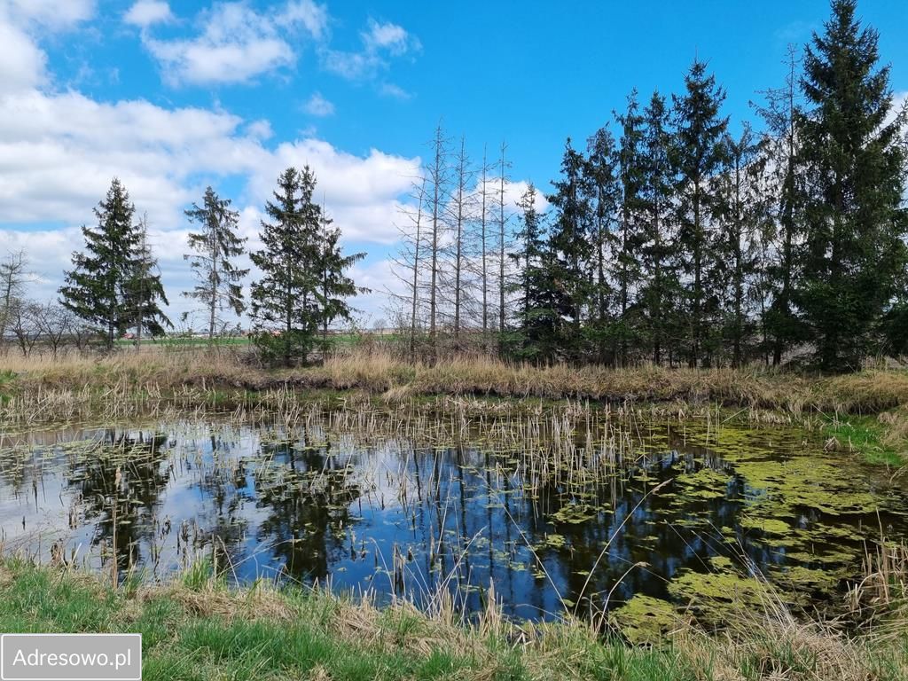 Działka siedliskowa Barkowo Barkówko. Zdjęcie 3