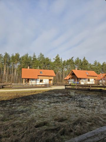 bliźniak, 3 pokoje Borowy Młyn. Zdjęcie 3