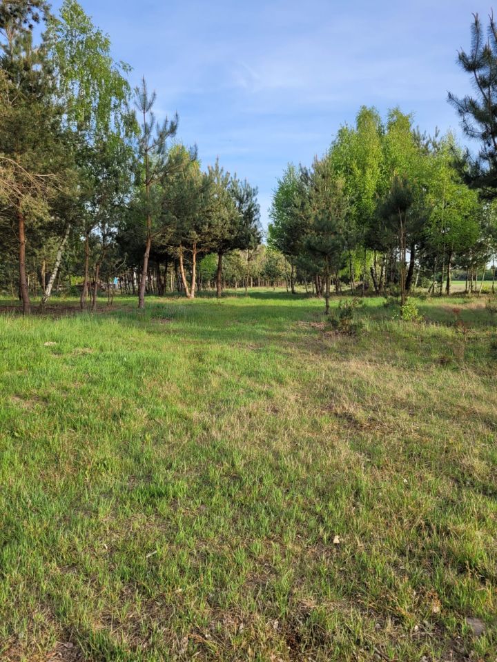 Działka budowlana Ludwinów. Zdjęcie 5