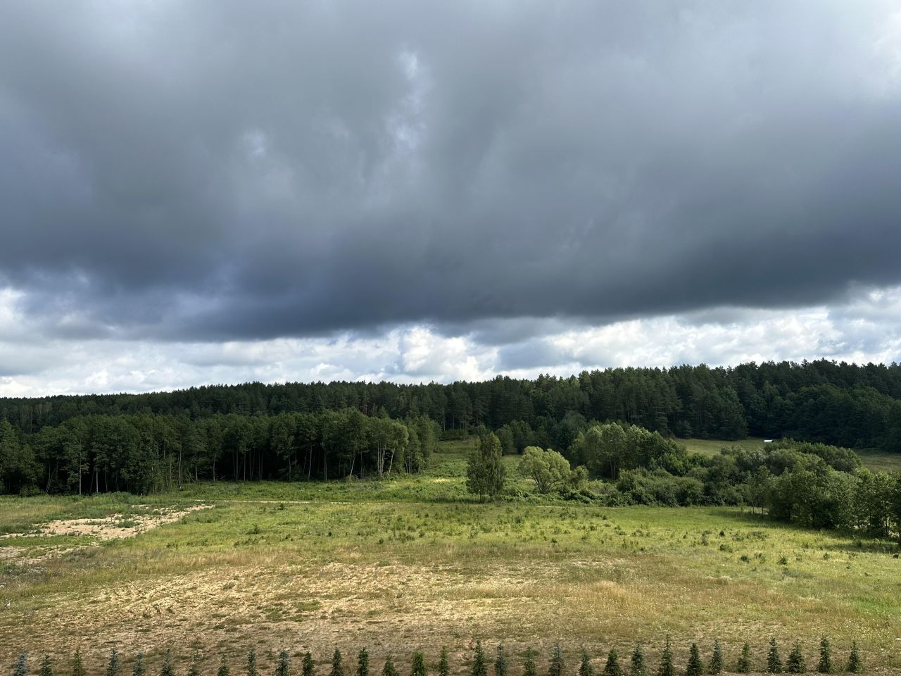 Działka rolno-budowlana Studzianki, ul. Polonijna