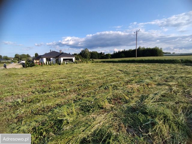 Działka rolno-budowlana Płoskie. Zdjęcie 1