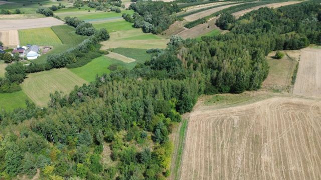 gospodarstwo Łownica. Zdjęcie 1