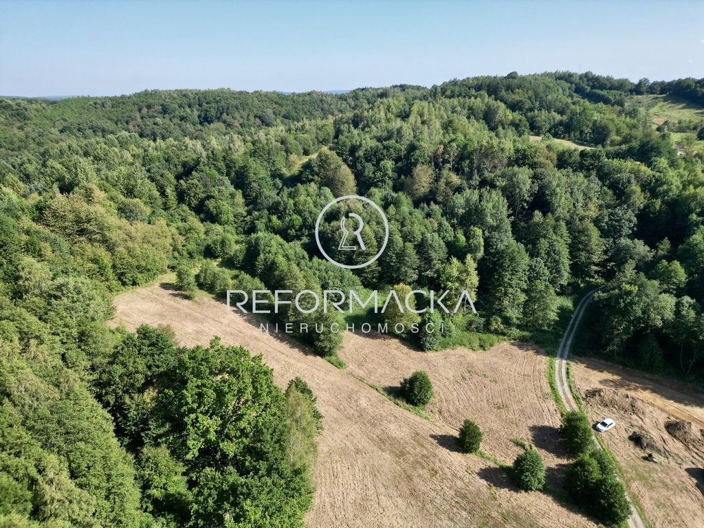 Działka rolna Dubiecko. Zdjęcie 5