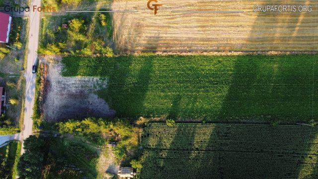 Działka siedliskowa Skalbmierz. Zdjęcie 6