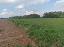 Działka budowlana Święcany. Zdjęcie 2