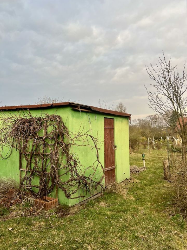 Działka rod Rybnik Śródmieście, ul. Powstańców Śląskich. Zdjęcie 7