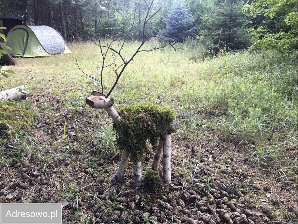 Działka rekreacyjna Ostrowo. Zdjęcie 10